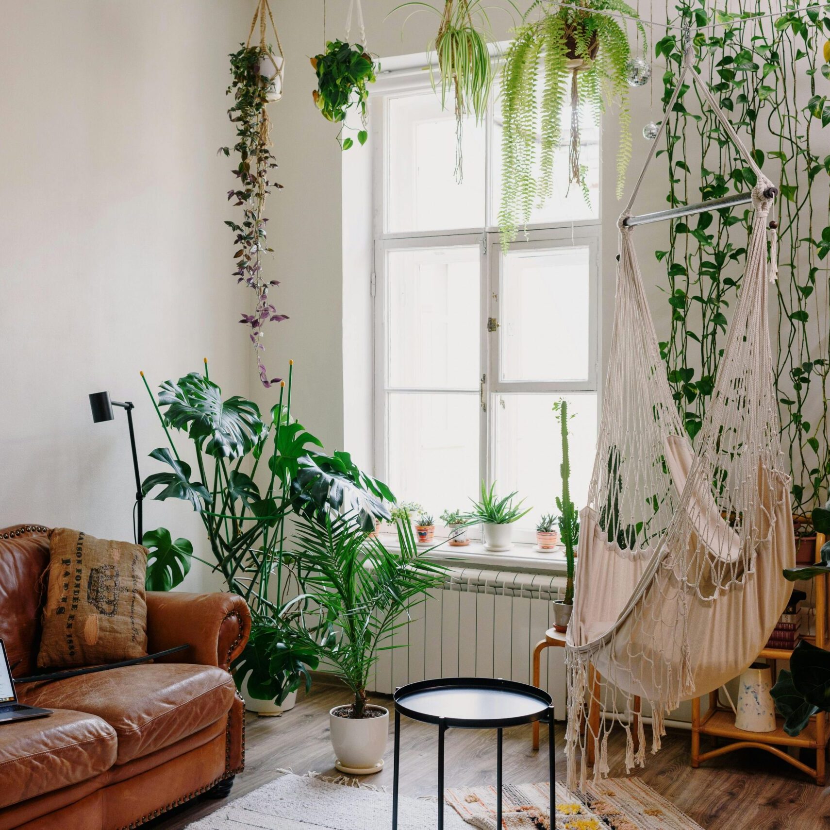 Grünes Zuhause für ein gesundes Wohlbefinden Ein helles, gemütliches Wohnzimmer mit einem braunen Ledersofa, einem Hängesessel und vielen grünen Zimmerpflanzen, die eine natürliche und entspannte Atmosphäre schaffen.